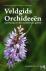Veldgids Orchideeën - van E...