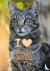 I Love Happy Cats Legacy