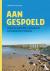 Aangespoeld - Over schelpen...