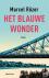 Het blauwe wonder